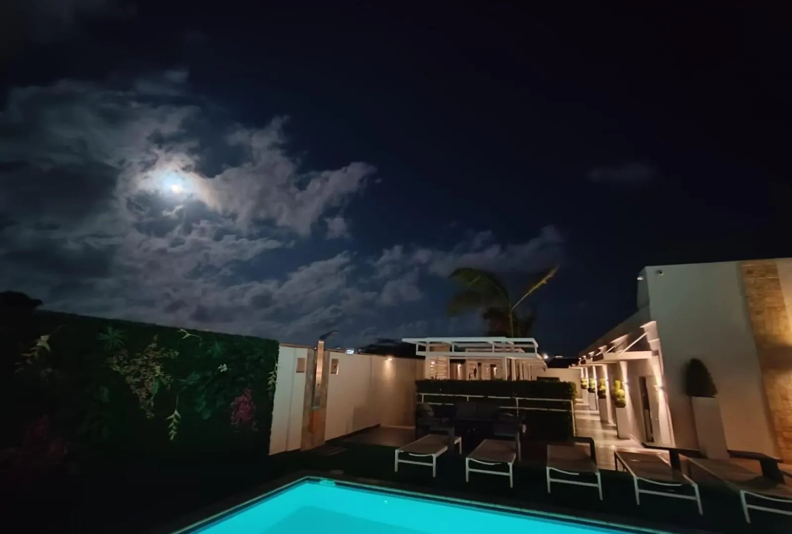 Aruba Boutique & Art Hotel, BW Signature Collection - Only Adults - New Hotel Palm Beach