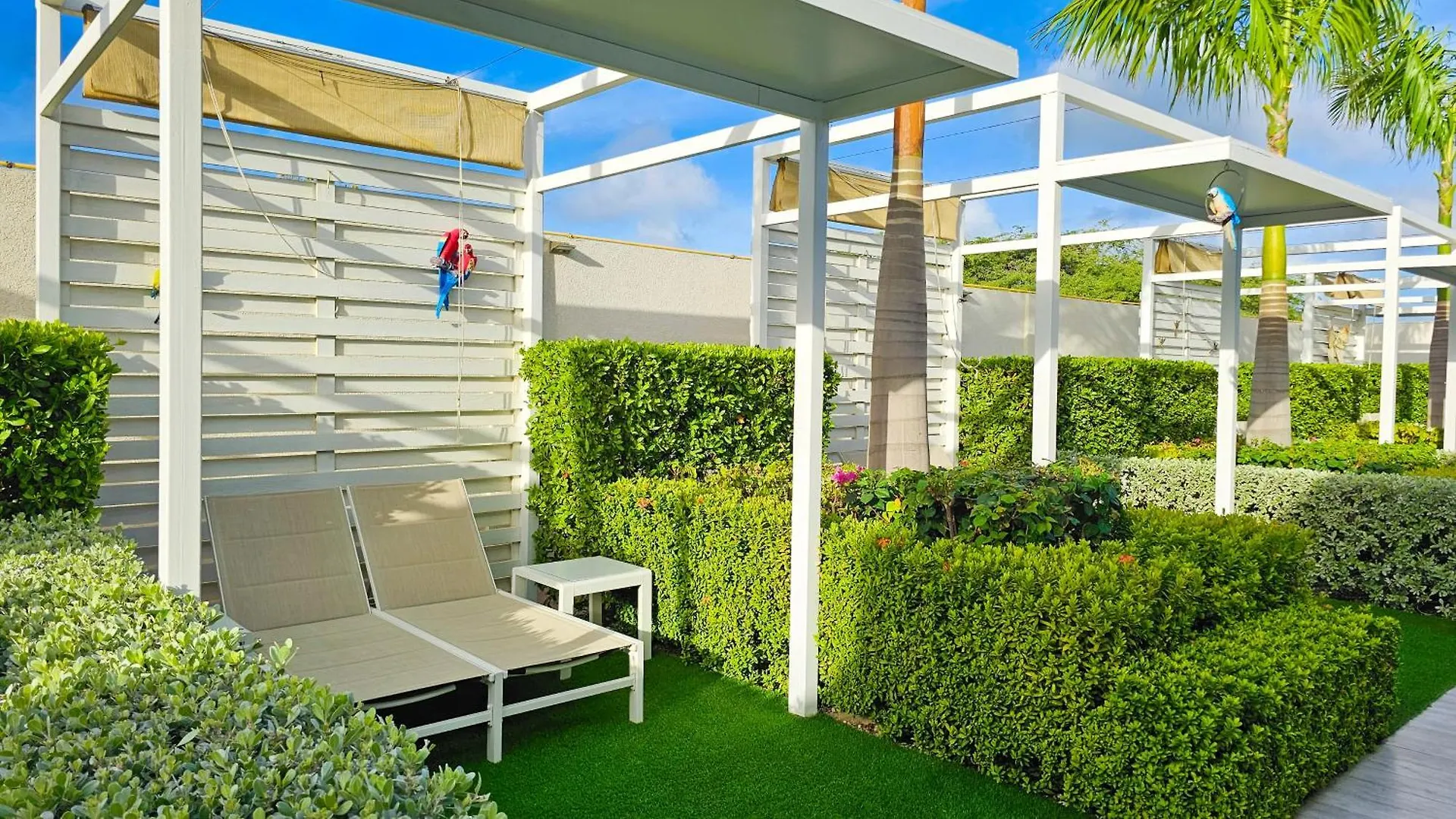 Aruba Boutique & Art Hotel, BW Signature Collection - Only Adults - New Hotel Palm Beach